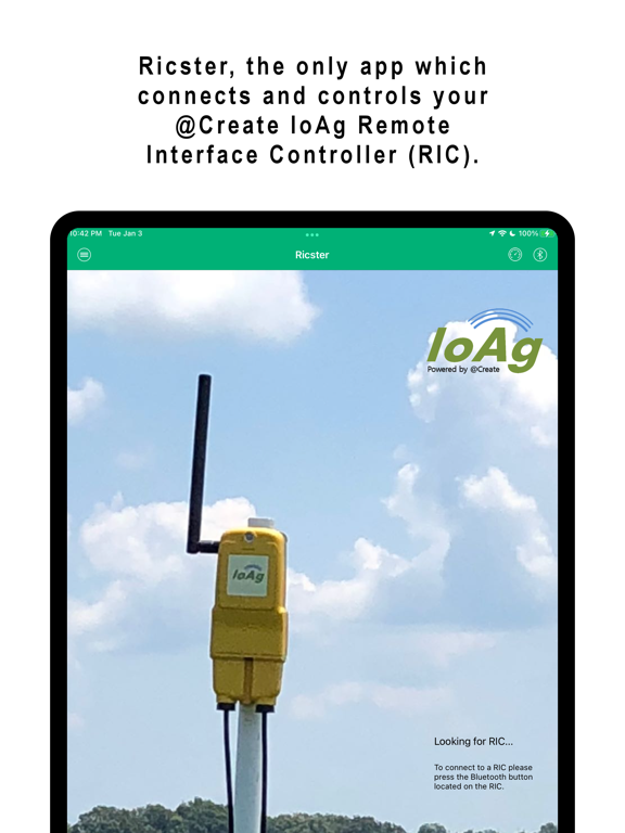Ricster iPad screenshot 1 - Productivity app