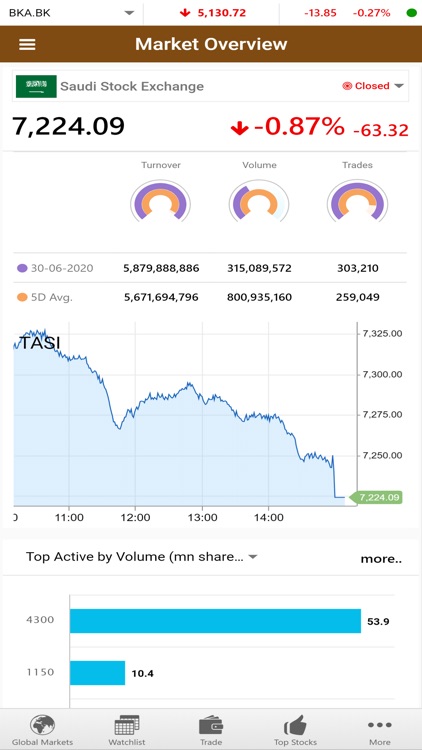 United Securities Co (GTN) screenshot-4