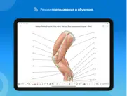 imaios vet-anatomy айпад изображения 1
