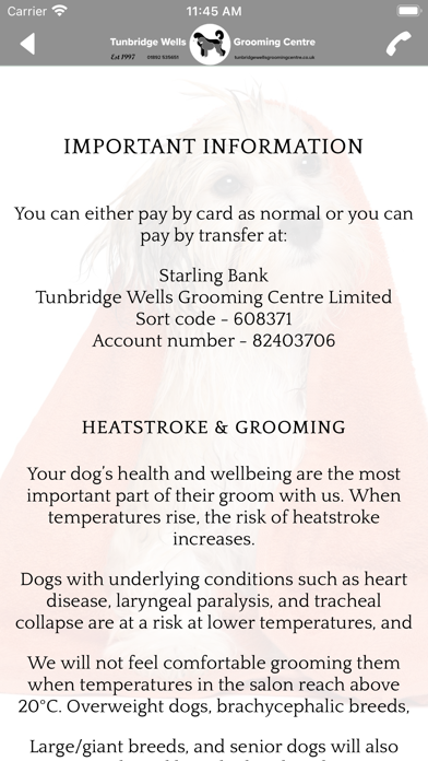 Tunbridge Wells Grooming Screenshot