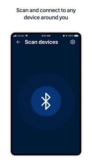 Blueterminal screenshot 2