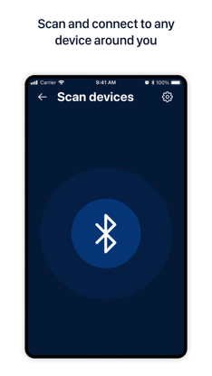 Blueterminal screenshot 2
