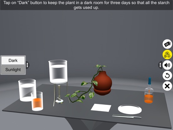Screenshot #5 pour Chlorophyll & Photosynthesis
