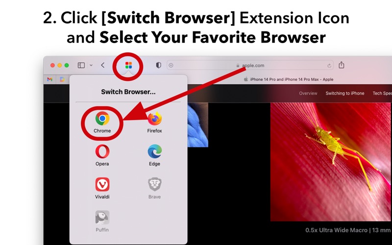 How to cancel & delete switch browser for safari 3