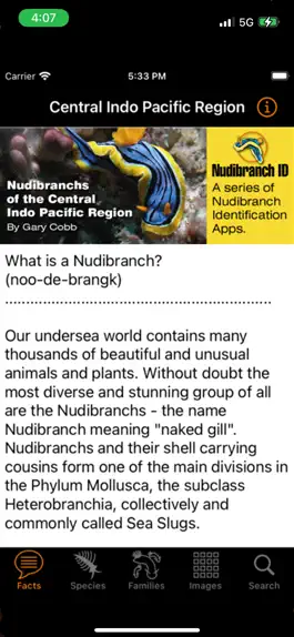 Game screenshot Nudibranch ID Indo Pacific apk