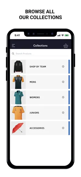 Game screenshot Silverstone Store hack