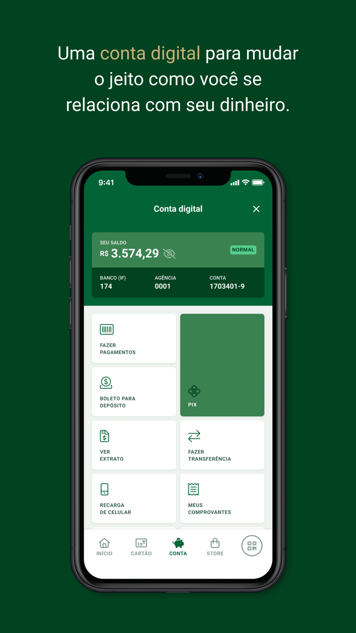 Palmeiras Pay