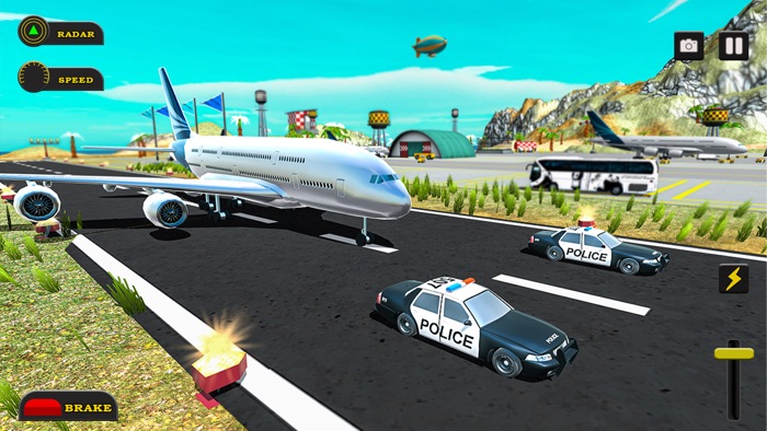 Airplane Flight Flying Sim