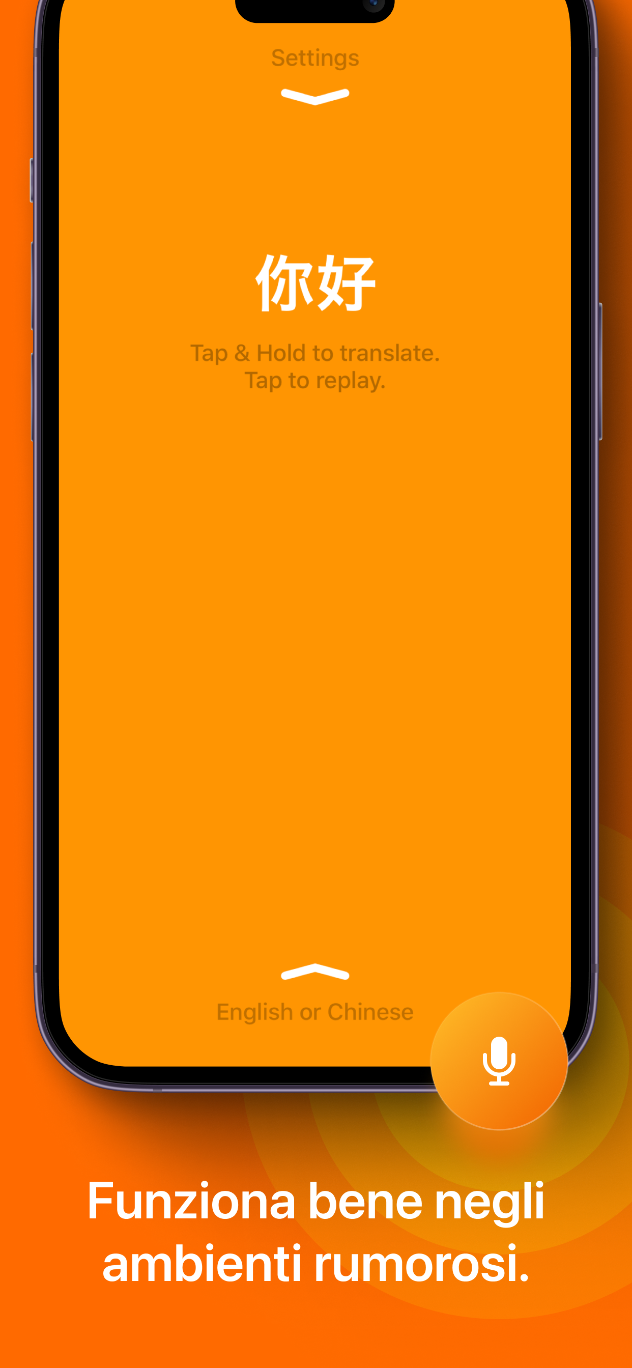 iTranslate Converse Traduzione