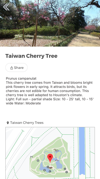 Houston Japanese Garden Screenshot