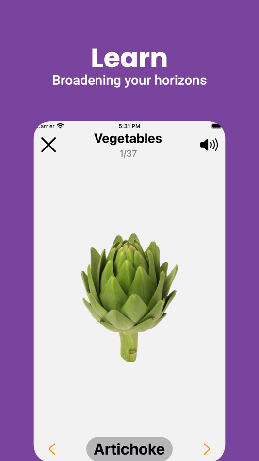#4. English Flashcard for Beginner (iOS) 由: Kok Keong