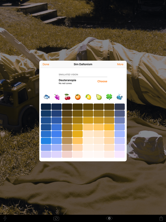 Sim Daltonism iPad screenshot 2 - Photo & Video app
