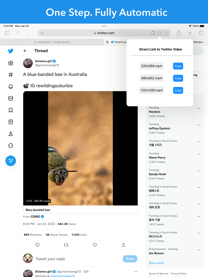 Video Link for Twitter