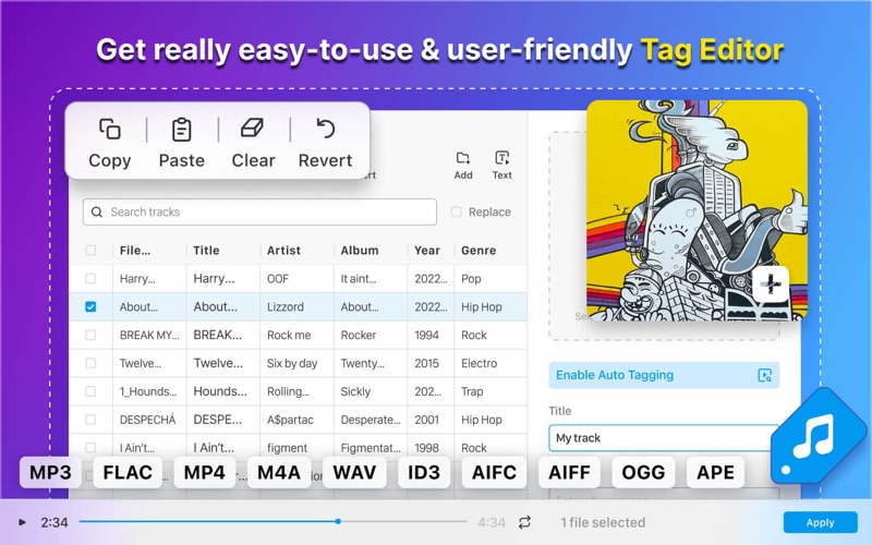 MP3 Tag Editor: Batch Rename Screenshot