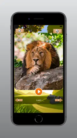 Game screenshot Tingujt e kafshëve SHQIP apk