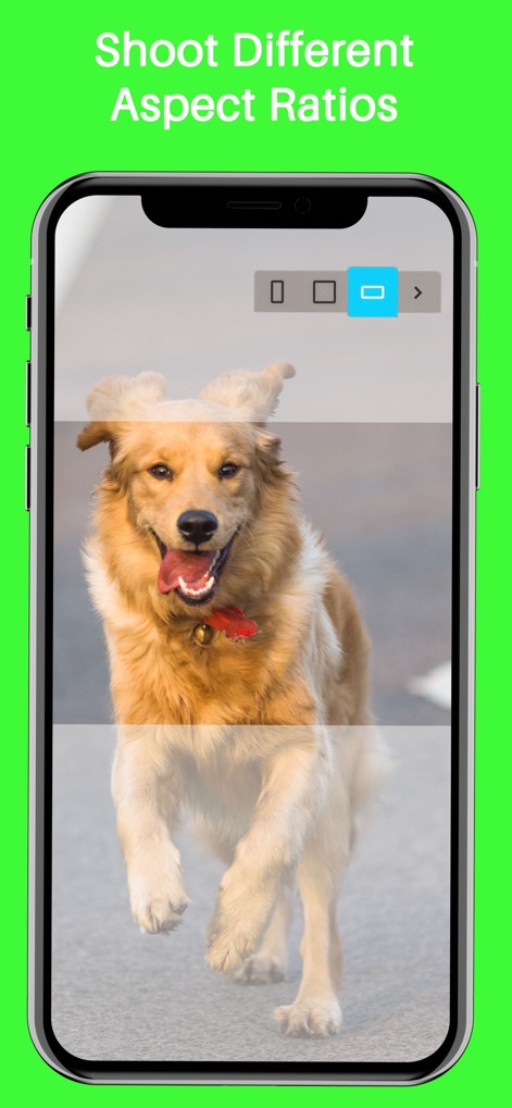Hype-Type: Moving Text Photo-s - The app enables precise framing with readily available aspect ratio selectors and allows immediate visual feedback during adjustments.