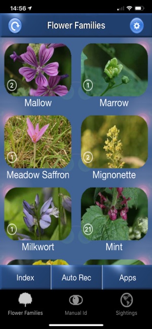 Wild Flower Id British Isles On The App