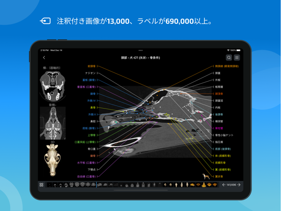 vet-Anatomyのおすすめ画像3