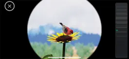 Game screenshot World of Wings hack