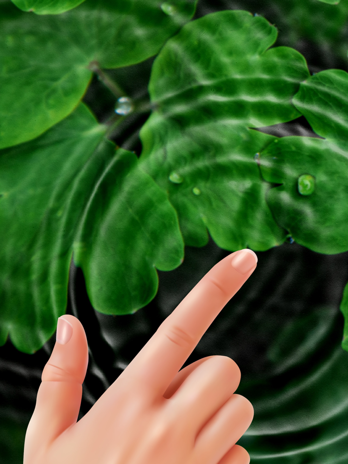 Mood Calm Slime and Sounds