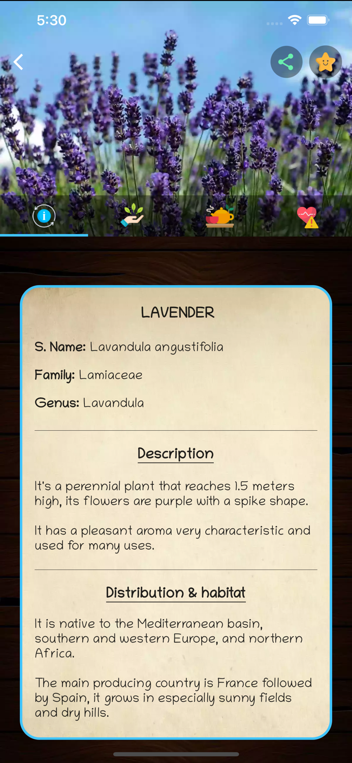 myRemedy Medicinal plants