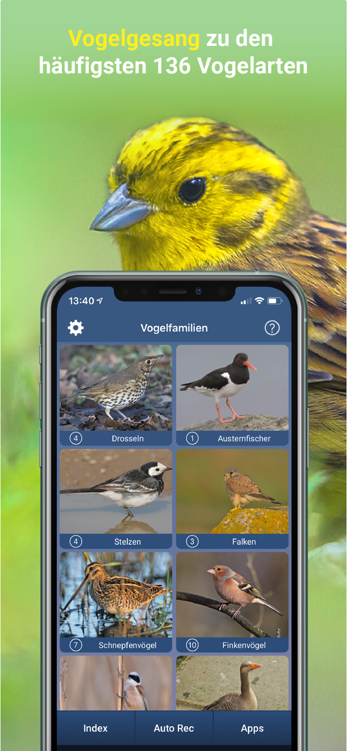 Vogelstimmen Id - RufeGesänge