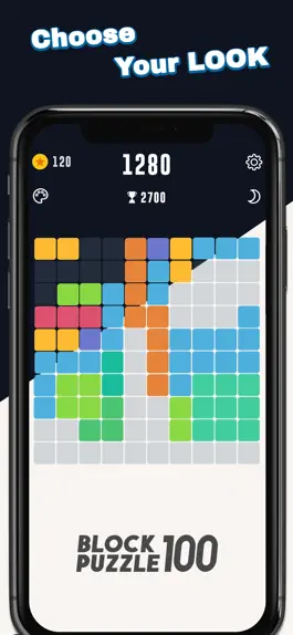 Game screenshot Block Puzzle 100 apk