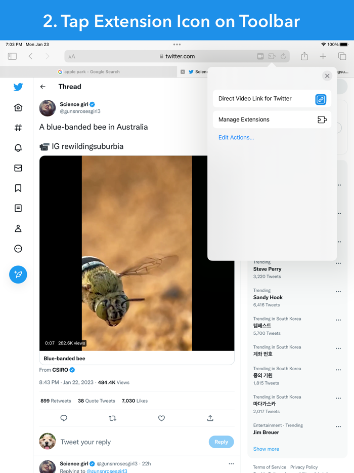 Video Link for Twitter