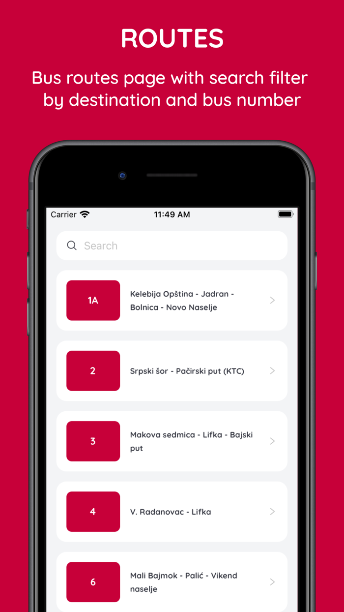Public Transport Subotica