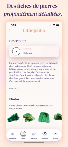 Game screenshot Lithopedia apk