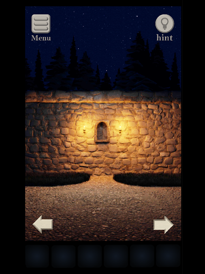 Night in the Deep Forest