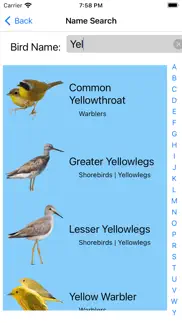 bird field guide for kids problems & solutions and troubleshooting guide - 4