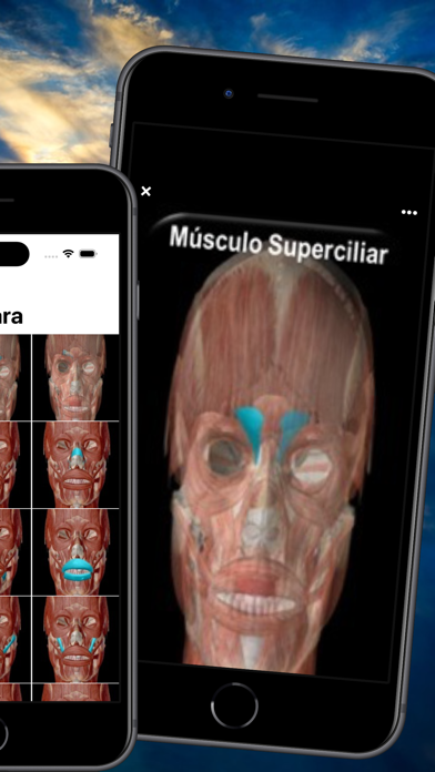 Masajes Relajantes Screenshot