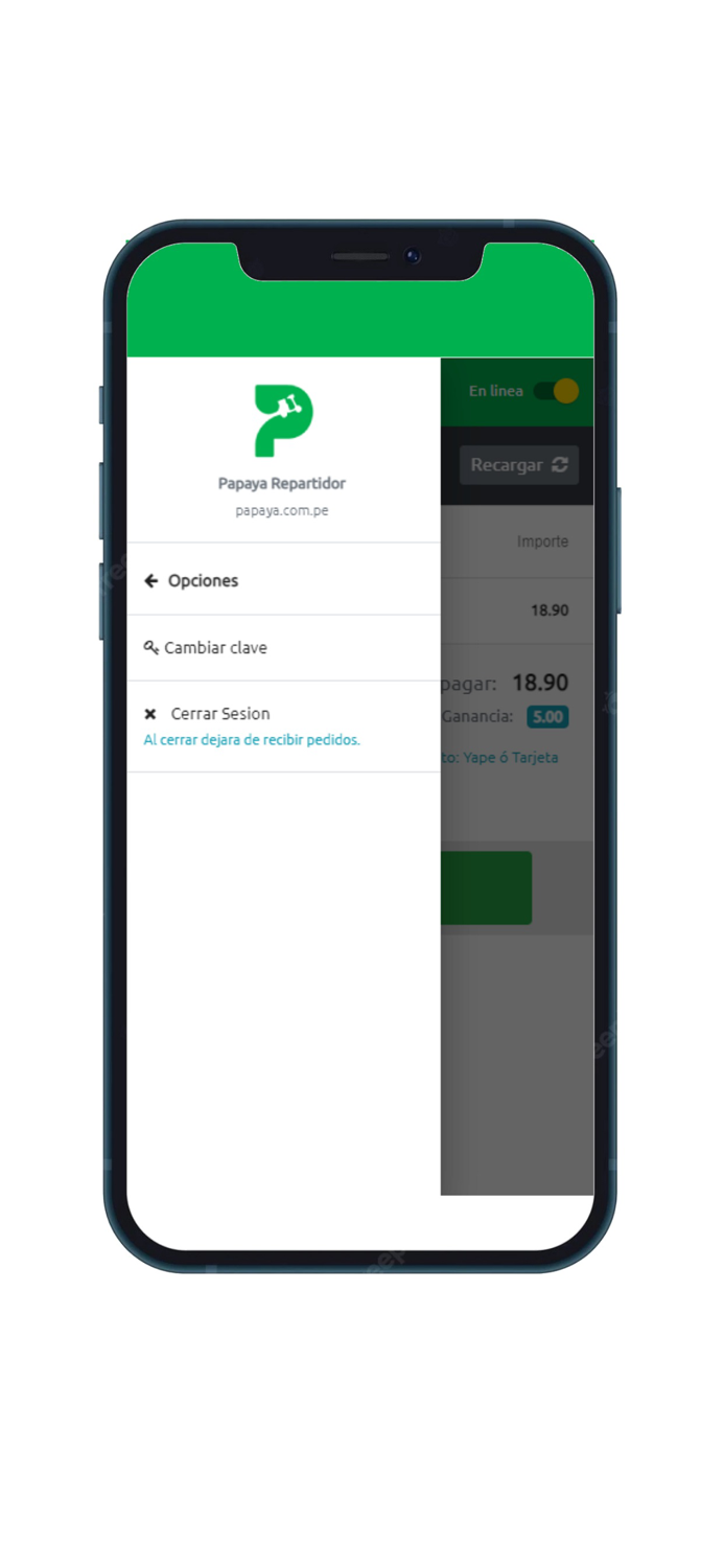 Papaya Repartidor