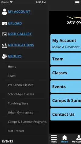 Game screenshot Sky Gymnastics hack