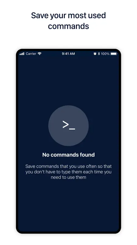 Blueterminal screenshot 4 of 5