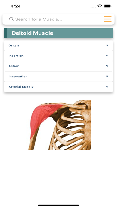 Orthopedic Limbs Anatomy Screenshot