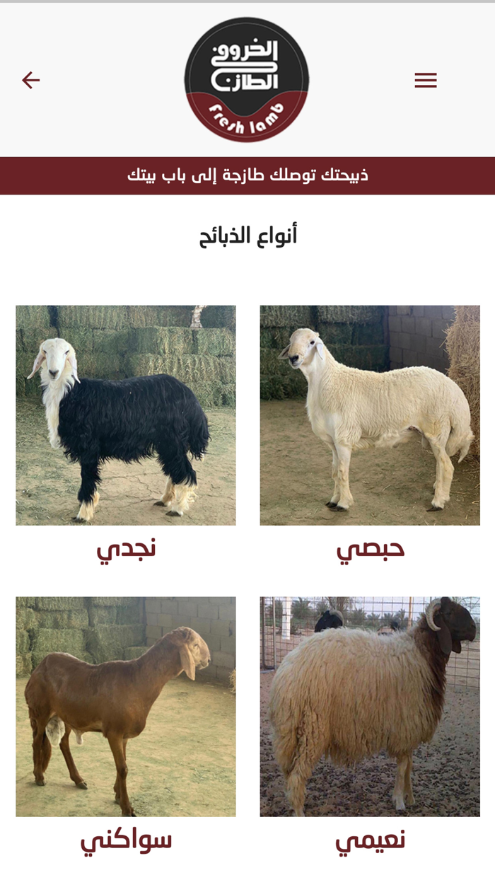 الخروف الطازج Fresh Lamb