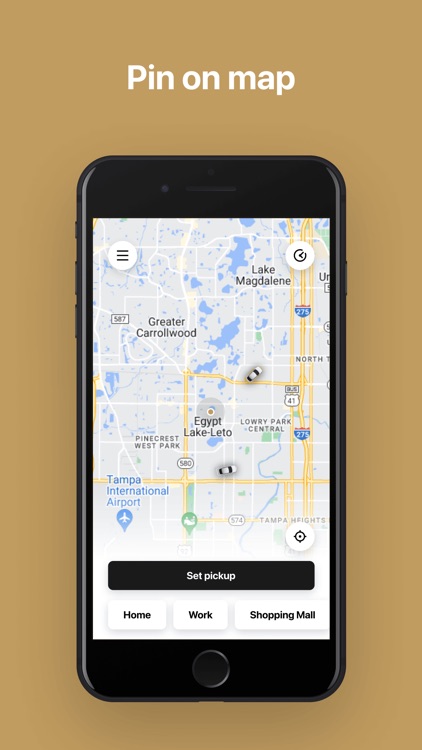 Express Ride: Taxi in Tampa