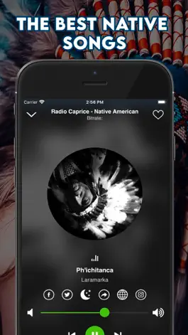 Game screenshot Native American Music apk
