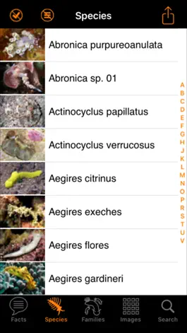 Game screenshot Nudibranch ID Indo Pacific hack