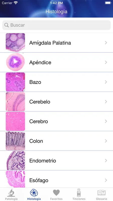 Patología Clínica screenshot 4 of 8