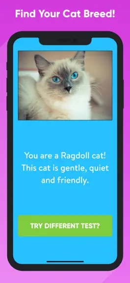 Game screenshot What Type Of Cat Are You? apk