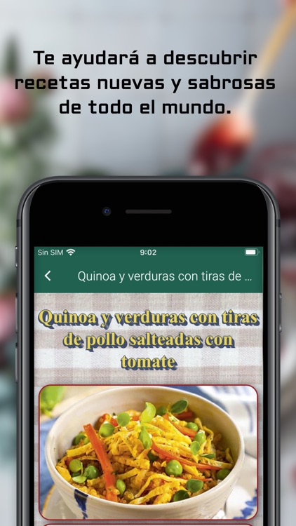 Recetas de Comida Casera screenshot-7