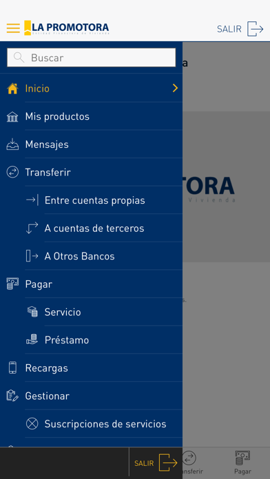 La Promotora Screenshot