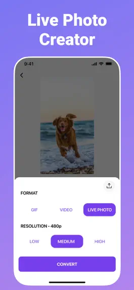 Game screenshot Video to GIF Maker : Converter hack