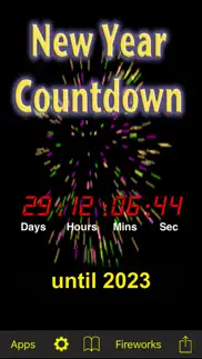 new year countdown iphone screenshot 3