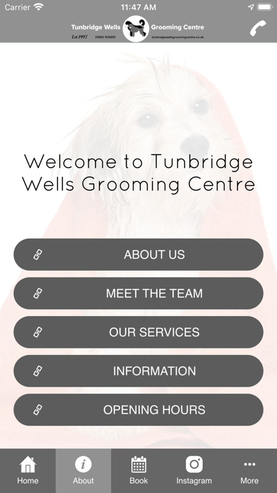Tunbridge Wells Grooming Screenshot