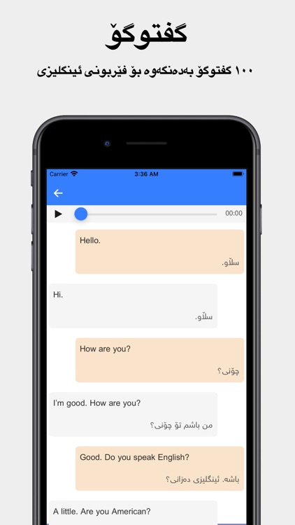 Rebin Dict Plus - Kurdish screenshot-3