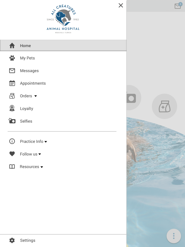 All Creatures Wauchula